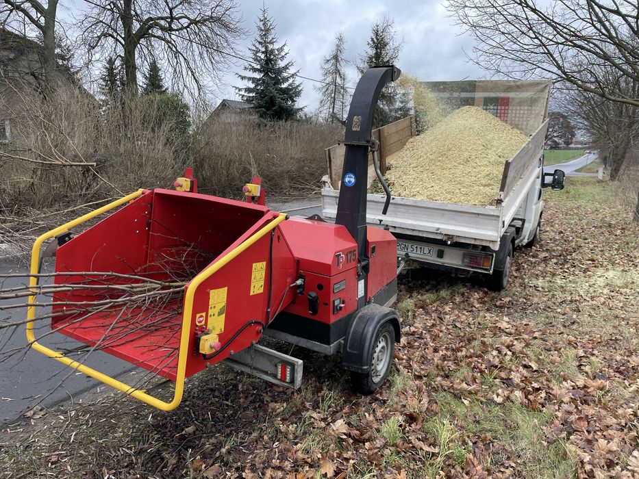 Wycinka drzew karczowanie działek usługi rębakiem