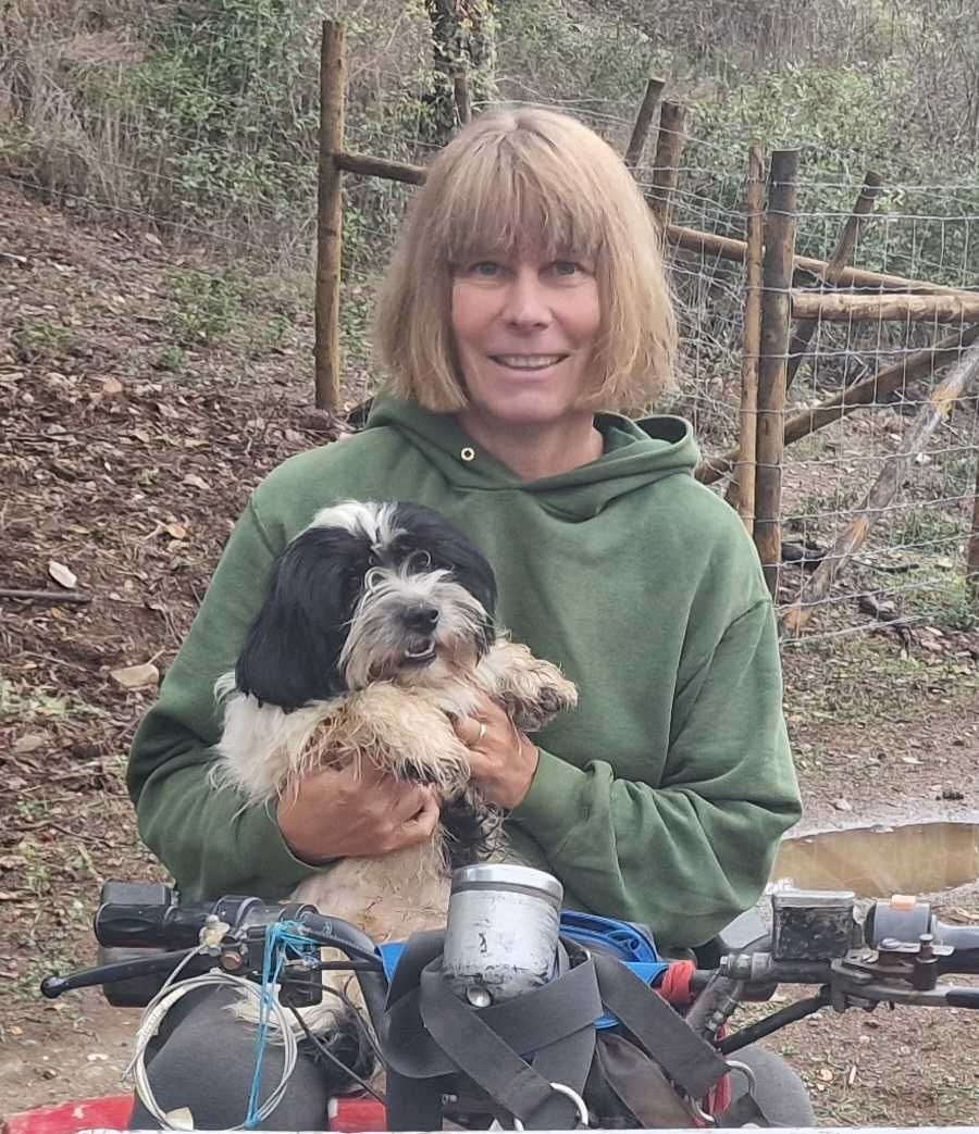 Cachorrinho de porte pequeno