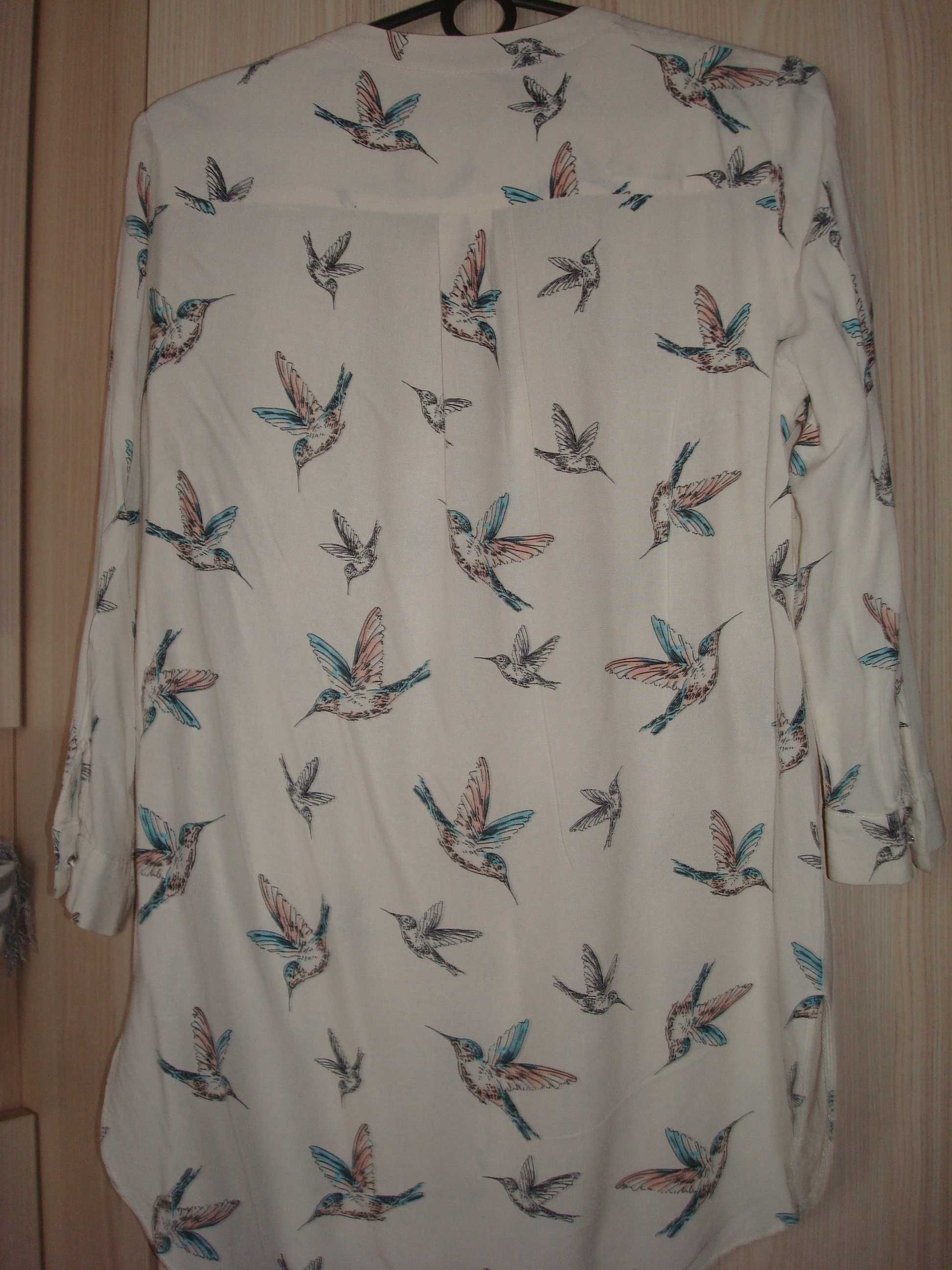 Bluzka koszulowa FF w kolibry roz.S