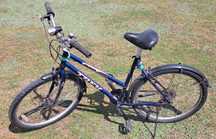 Rower Trek Singletrack 820