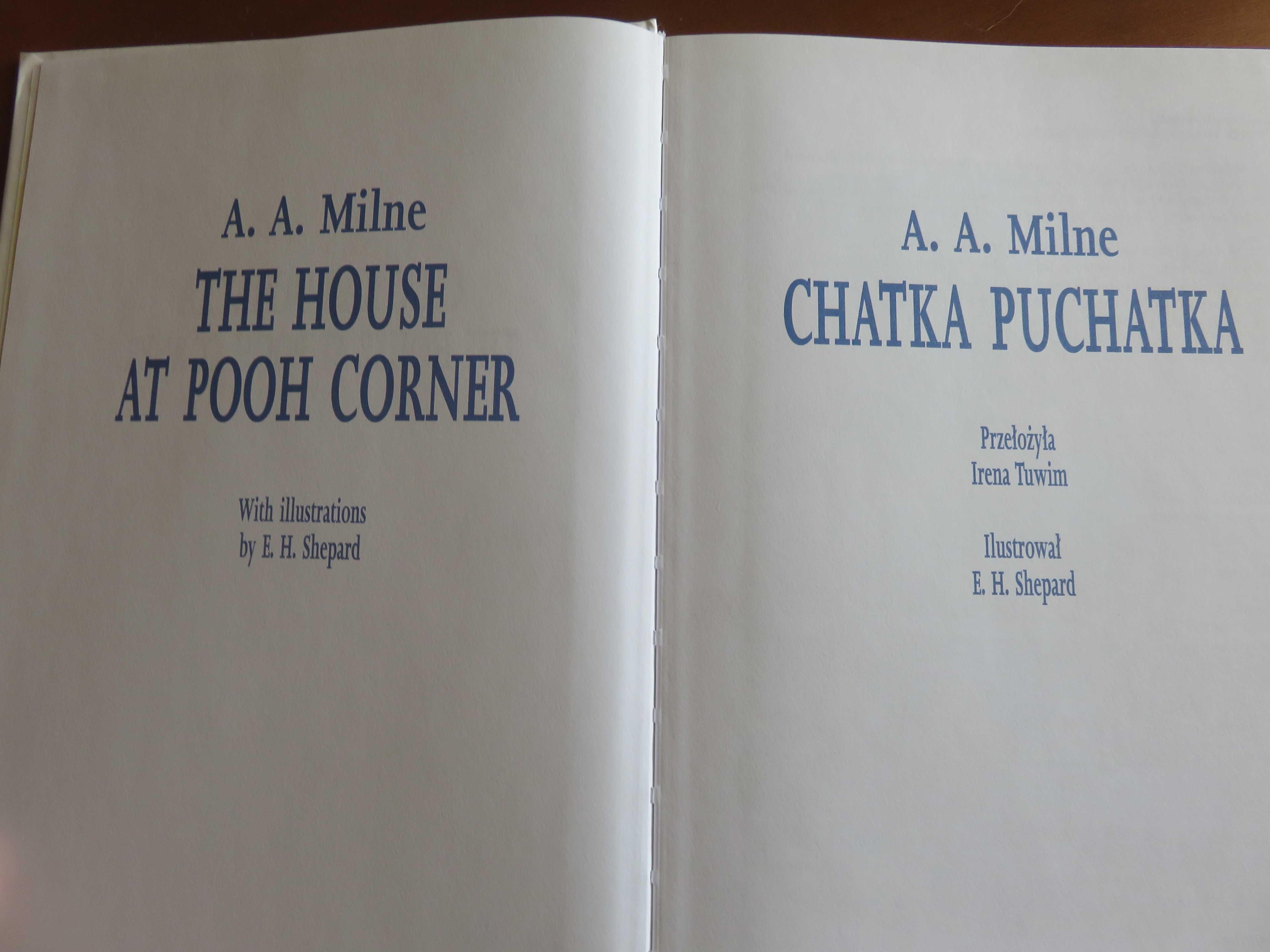 Chatka Puchatka  - The house at pooh corner A.a.Milne