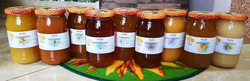 Miód Rzepakowy Mniszkowy Spadziowy Akacjowy Gryczany inne Duży słoik