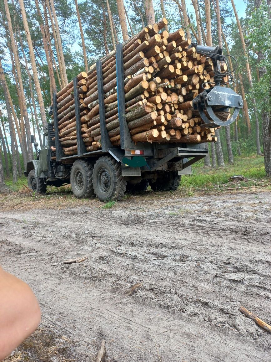 Дрова доставка рубані телешики по 2 метри