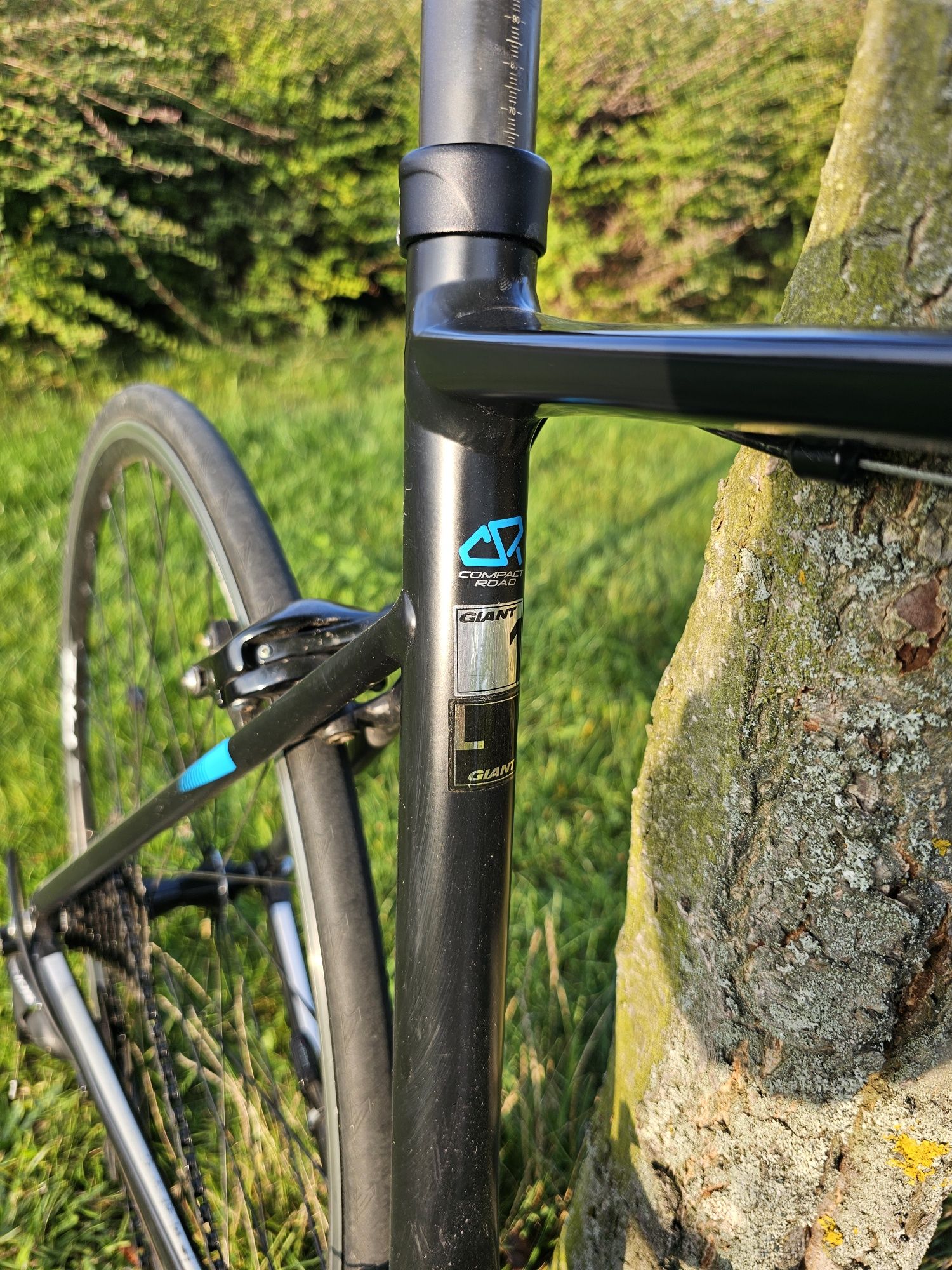 Rower szosowy Giant Defy 1 shimano 105 rozmiar L