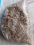 Słonecznik łuskany 300g