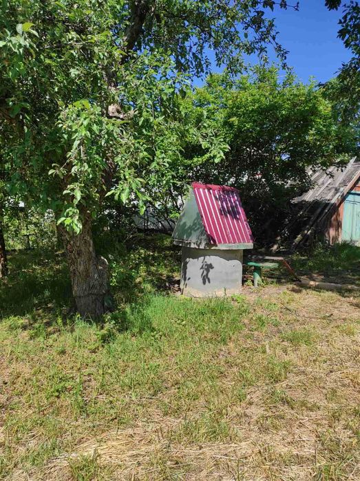 Продаж обісця в екологічно чистому р-ні