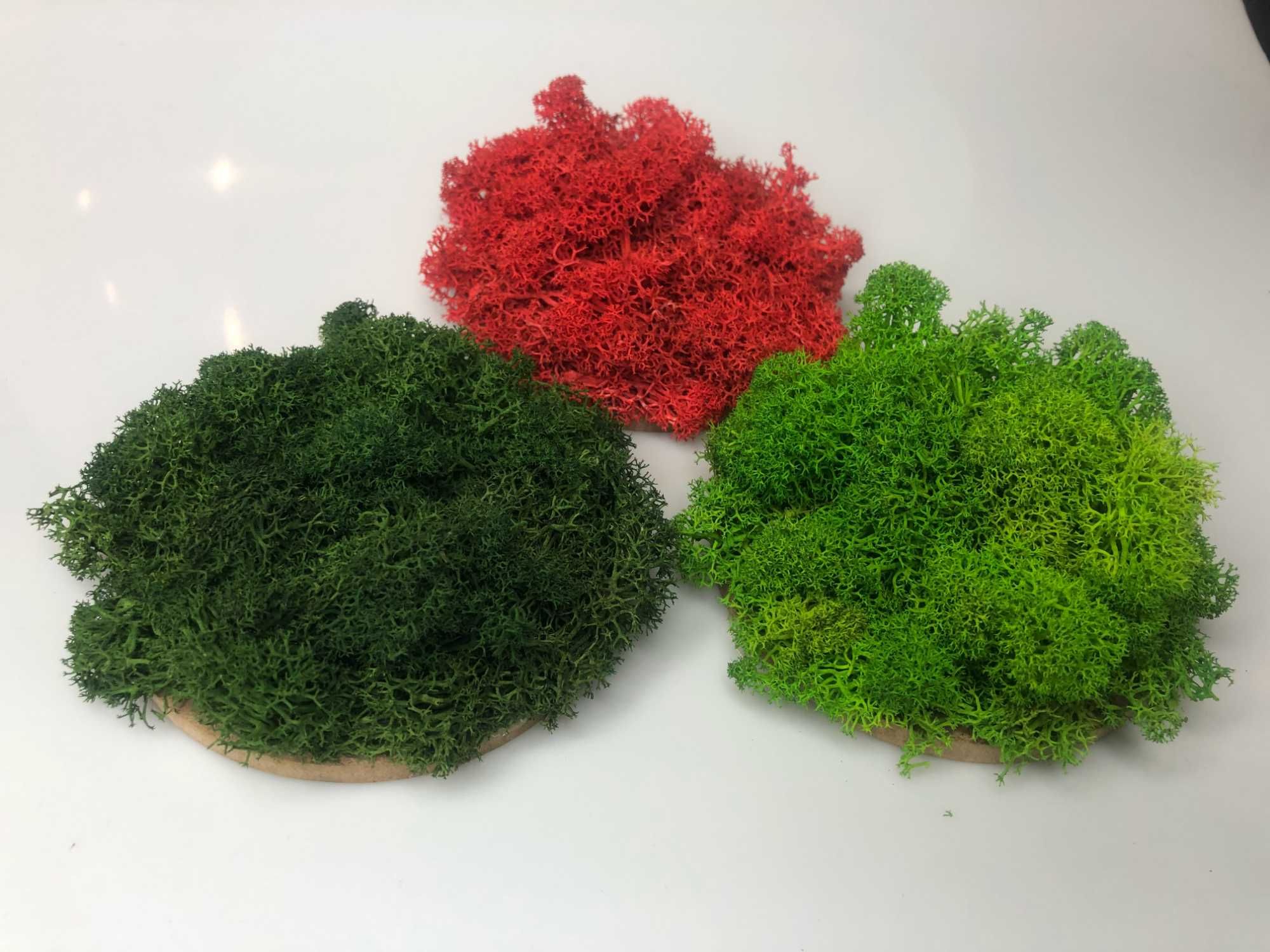 3 x Dekoracja z mchu średnica 10 cm