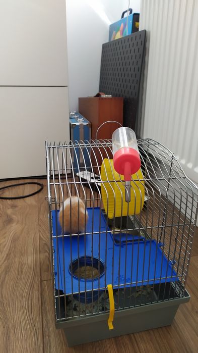 Sprzedam klatkę z chomikiem