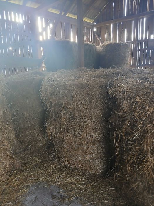 Sprzedam siano w belach