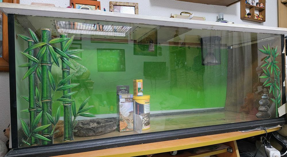 Terrário com Adaptador