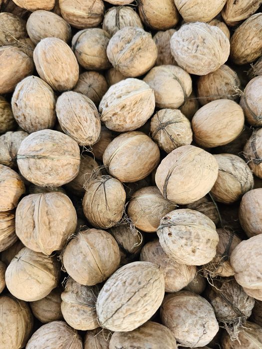 Orzechy włoskie tego roczne OSTATNIE około 100kg