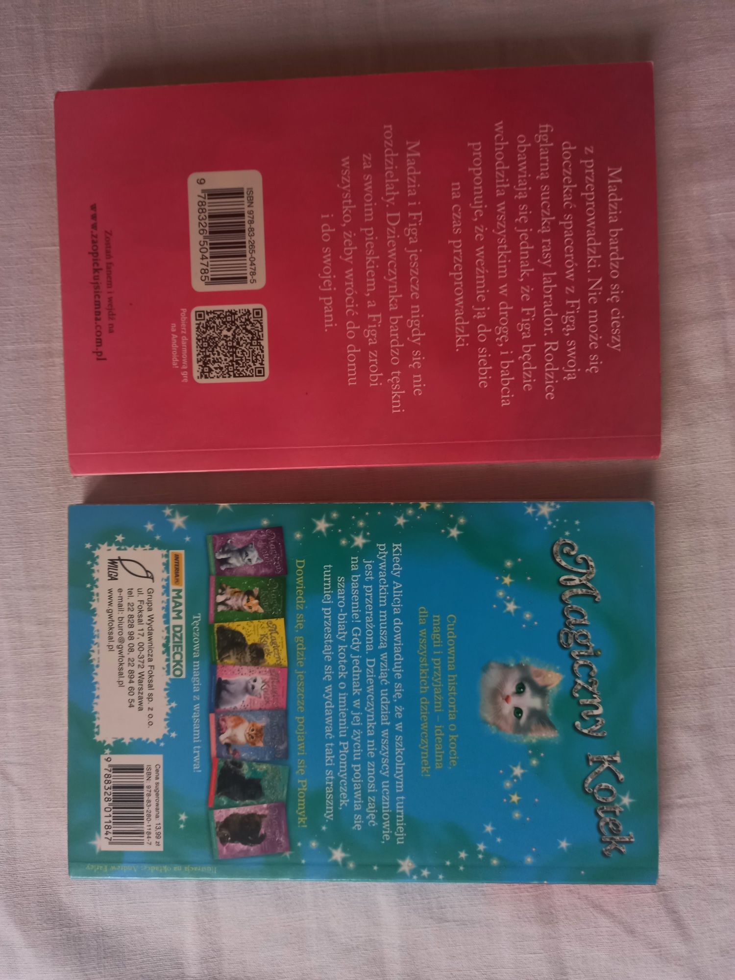 2 książki o zwierzętach dla dzieci figa tęskni za domem i magiczny kot