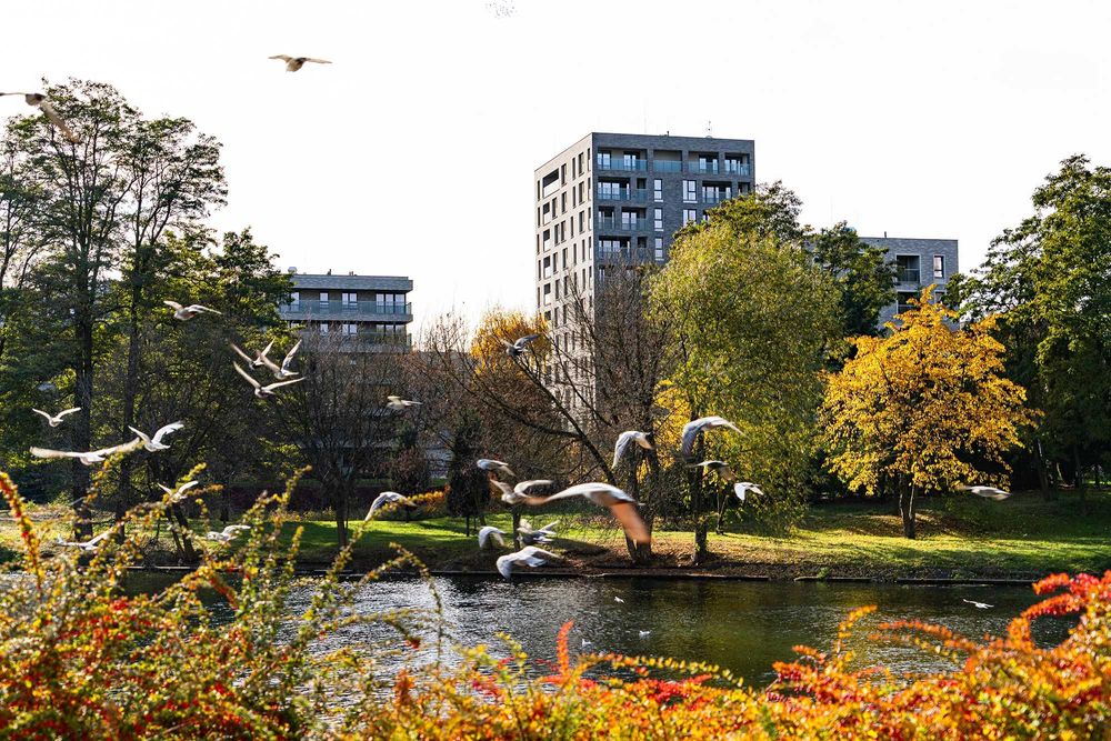 Komfortowe 2 pokoje przy WSG , nad rzeką - Urzecze, dostępne