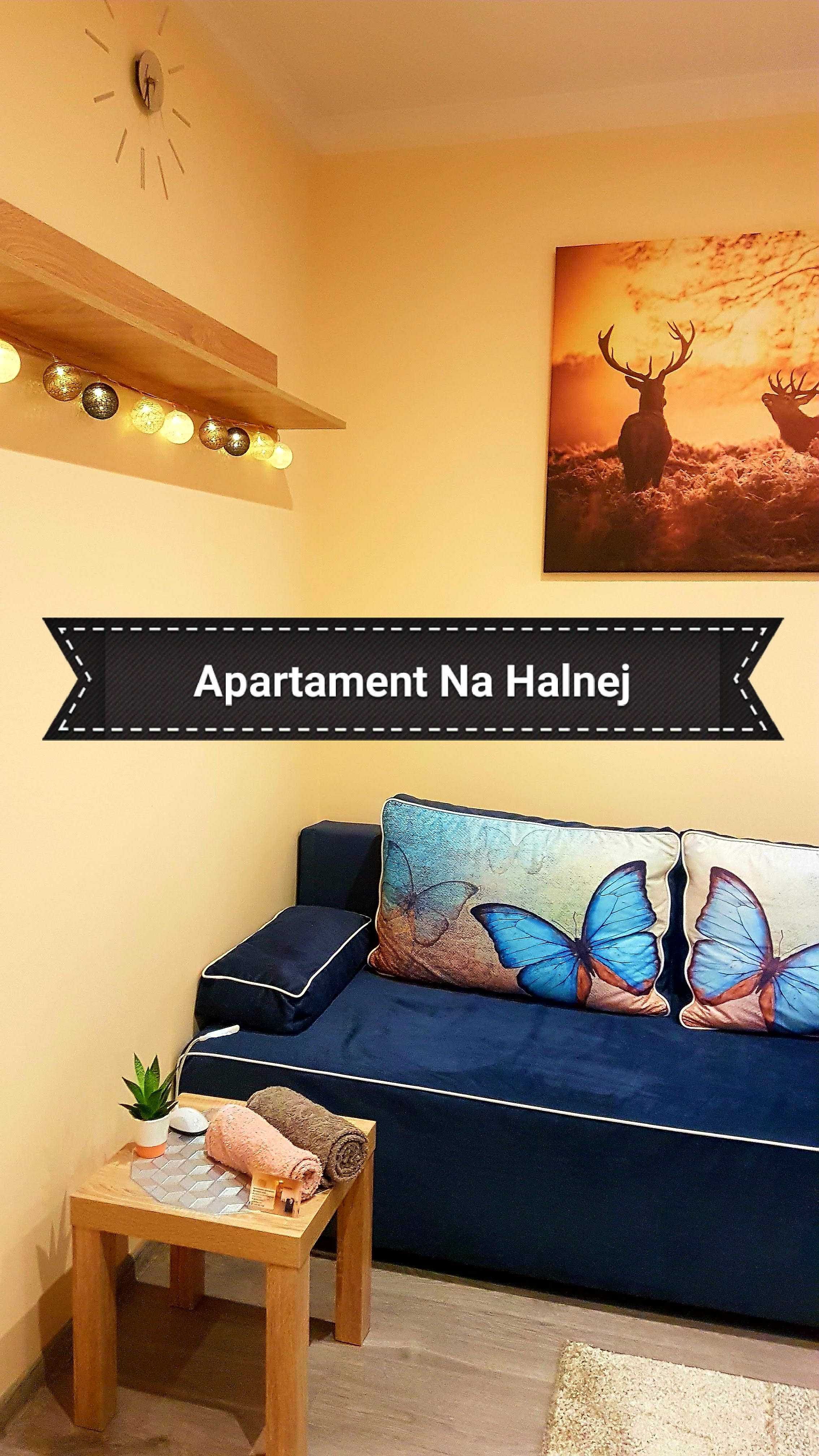 Apartament Na Halnej/ KRYNICA-ZDRÓJ / wakacje / Krynica Noclegi