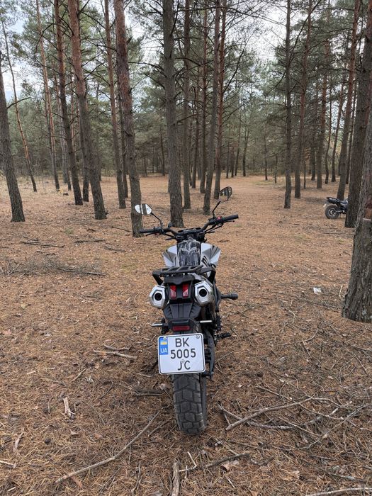 Теккен250 24 року