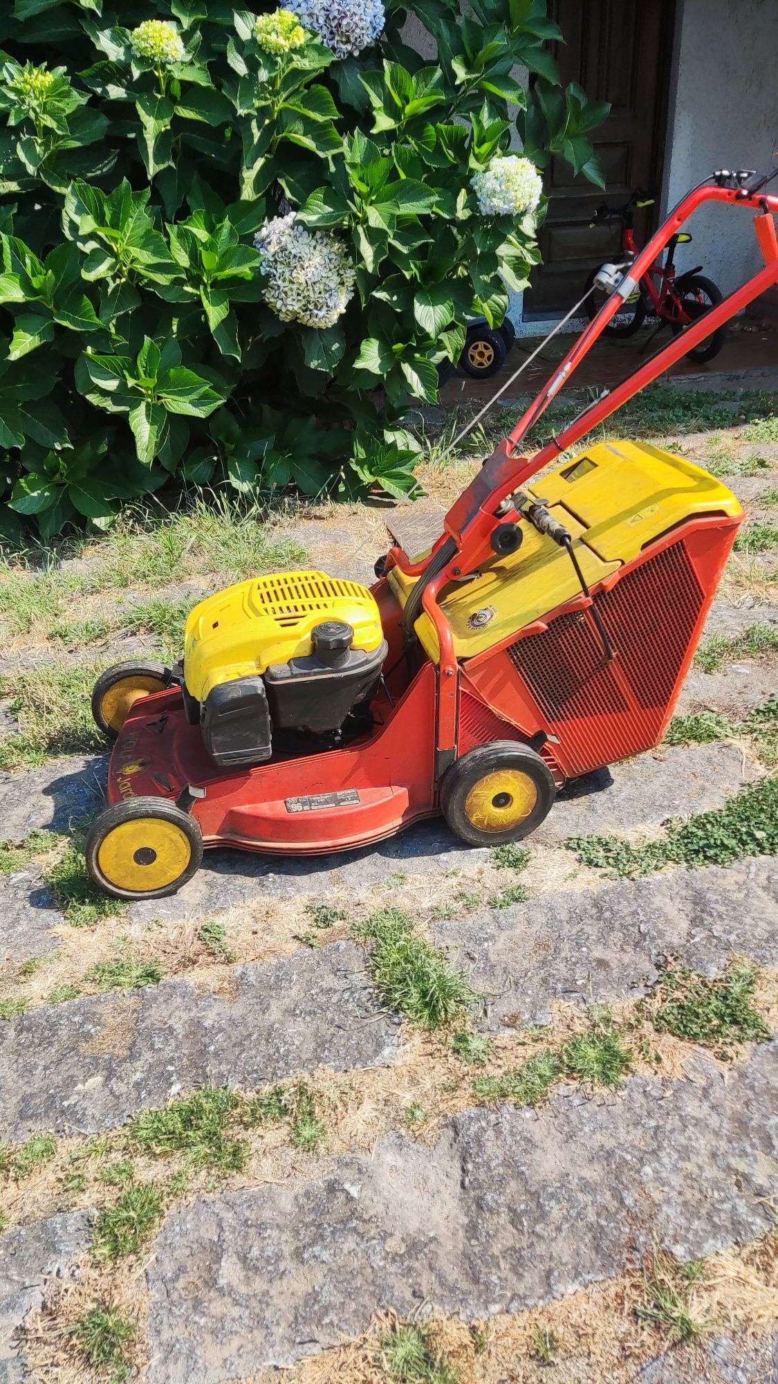 Corta relva Briggs & Stratton Wolf