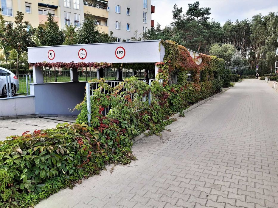 Miejsce Postojowe w hali garażowej Batorego 55 Poznań