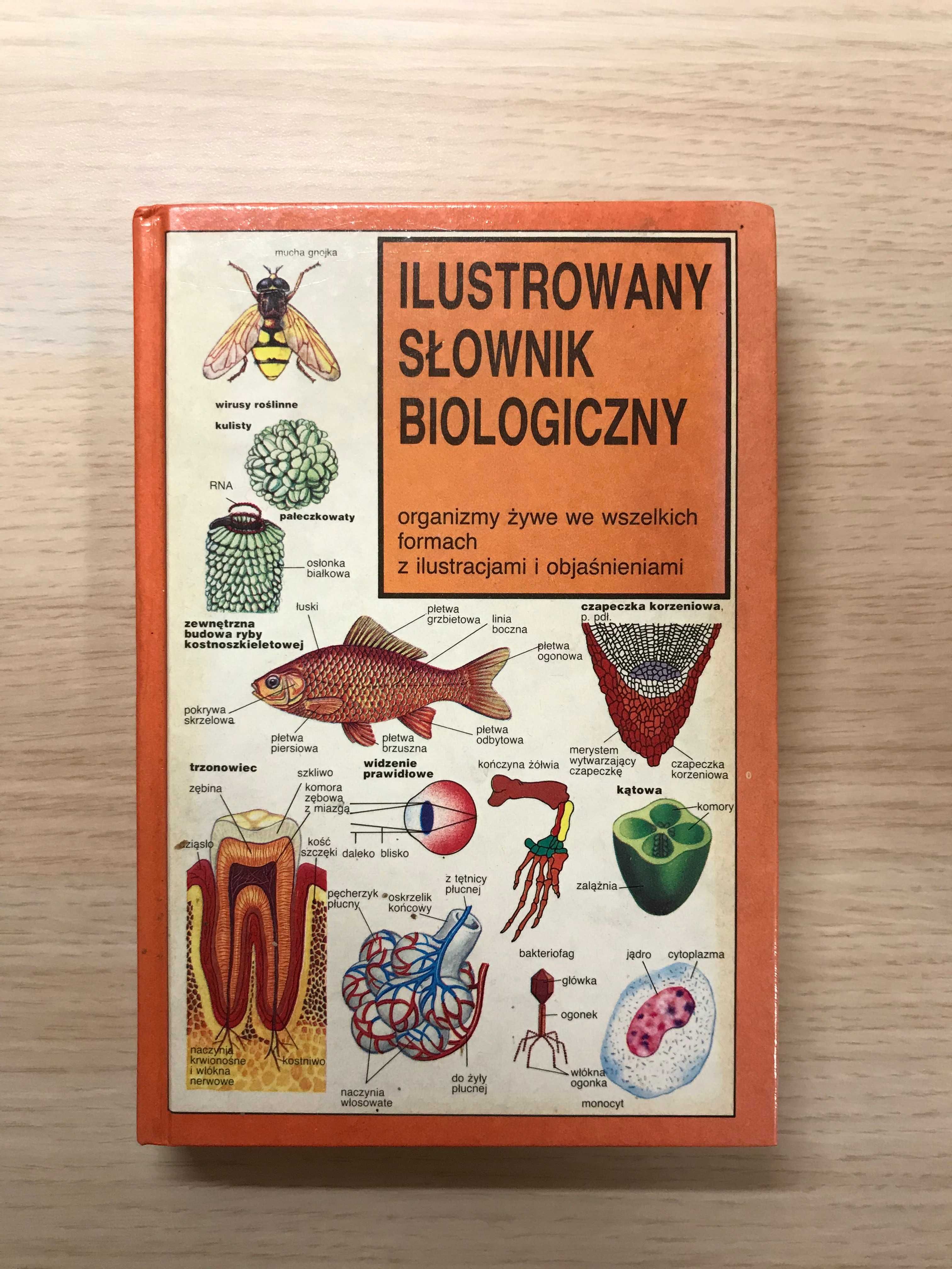 Ilustrowany słownik biologiczny Neil Curtis bilogia matura kompendium