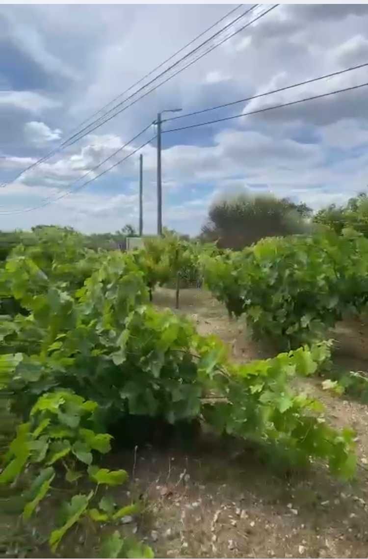 Vivenda aos pés do Alentejo, com vista para Serra da Arrábida