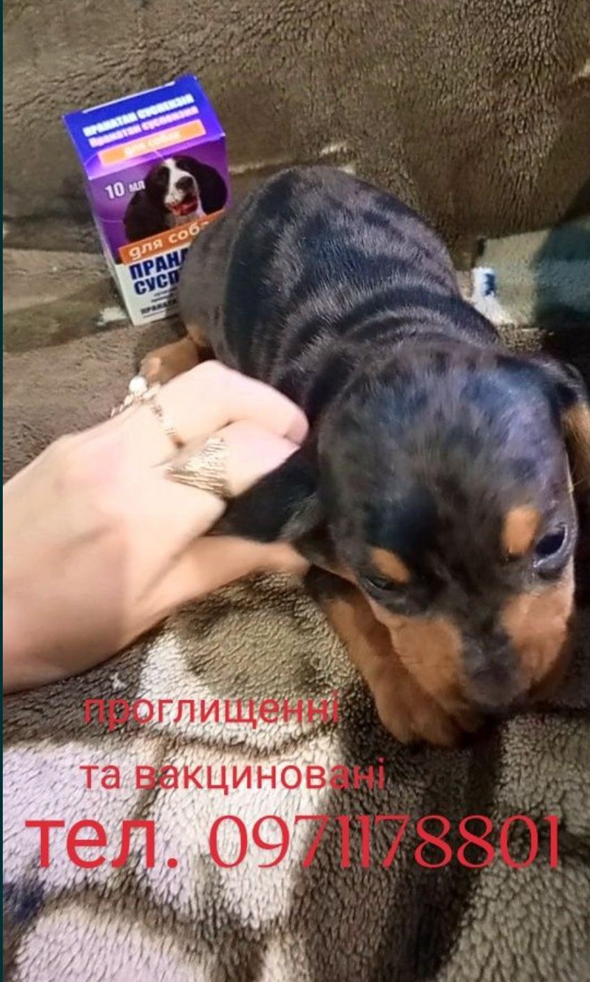 дівчинка з хлопчиком мраморні ,