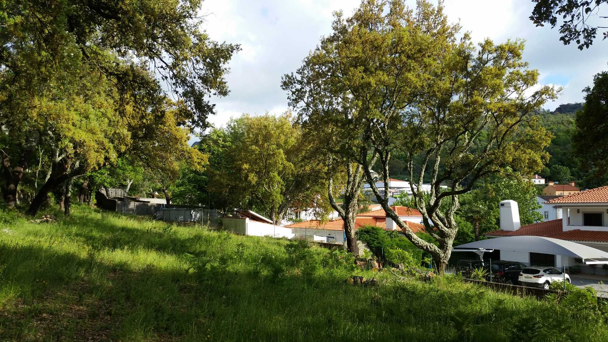 Terreno rustico 4ha com PDM para construção