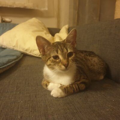 Jessie szuka kochającego domu