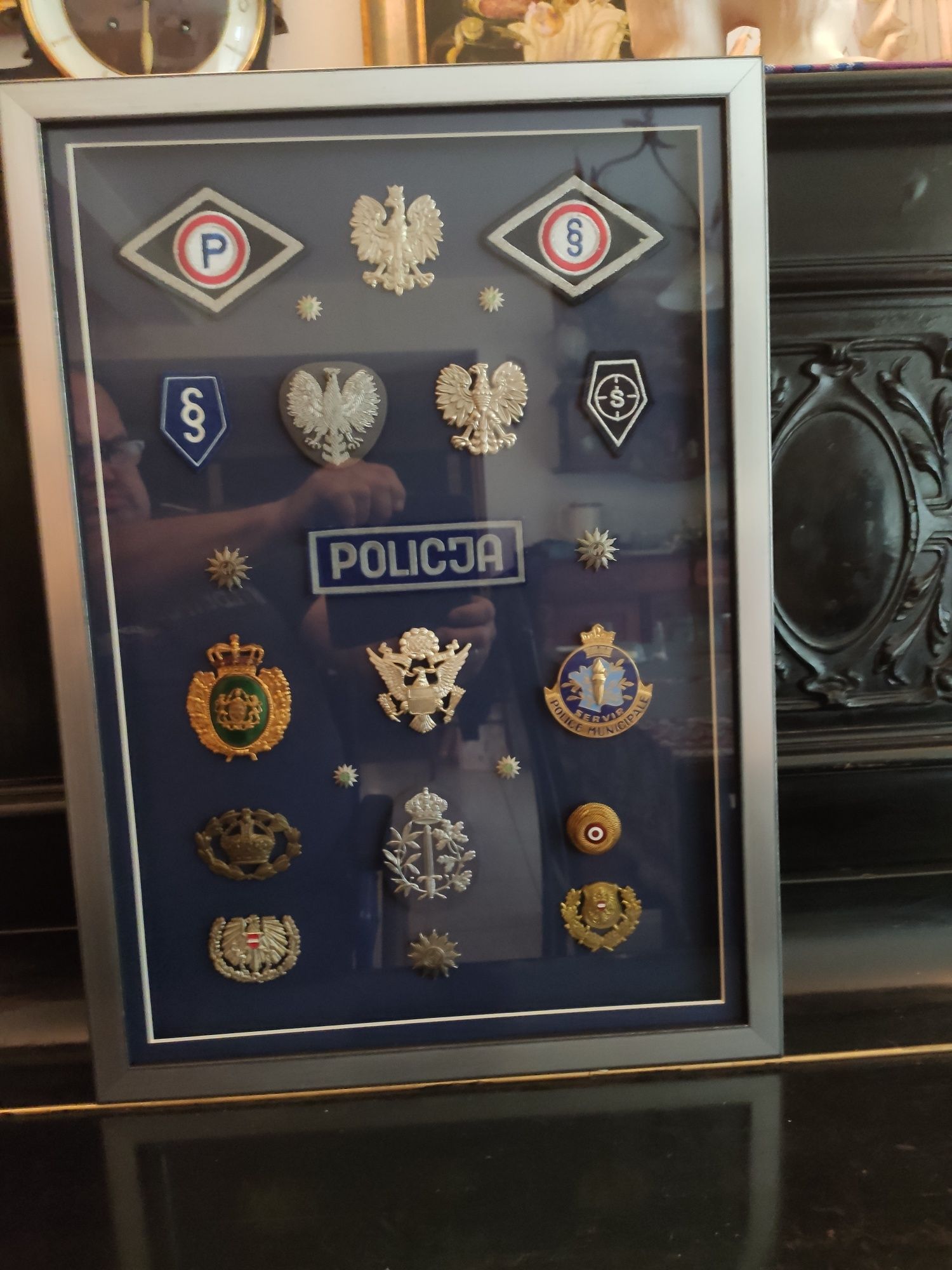 Odznaki policyjne świata