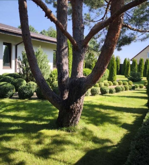 Без комісії, 259м², 4 кімнати, тепла підлога, 14 соток, гараж, газ