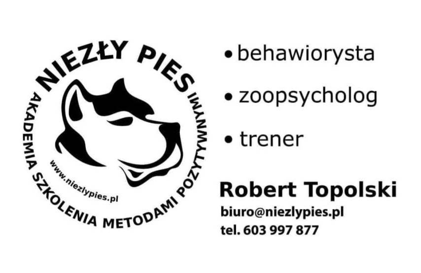 Behawiorysta, Zoopsycholog, Trener Psów