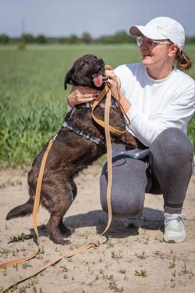 Niewielka łagodna Trufelka szuka domku