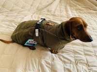 Дощовик куртка для собаки ActivPet розмір XL (підійде для різних порід