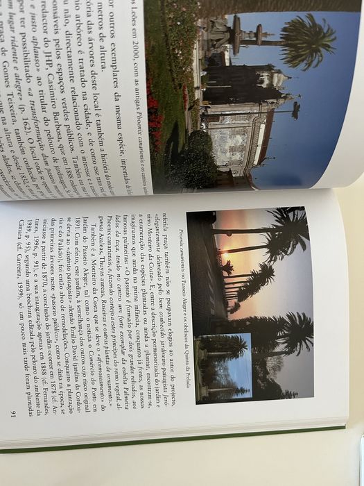 Livro À sombra de arvores com história