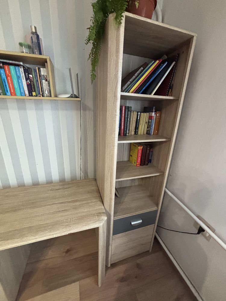 Meble: biurko i regał