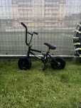 Mini BMX Wildcat
