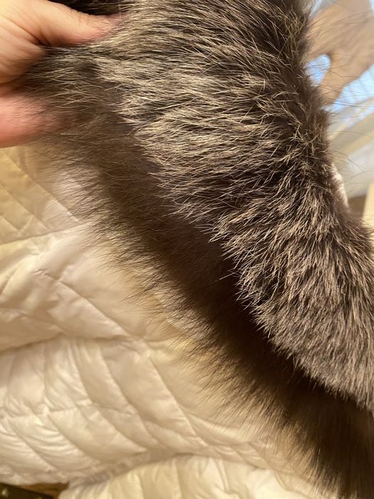 Розпродаж peercat Пуховик