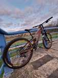 Scott gambler 2021