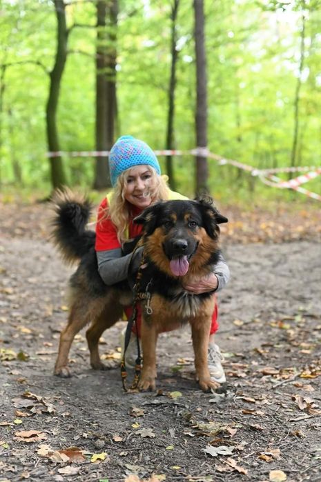 Orso po dwóch latach traci dom i wraca do schroniska