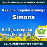 Rzepak ozimy Simona F1, C1, opak. 1,5mln.n. Scenic Gold i Buteo Start