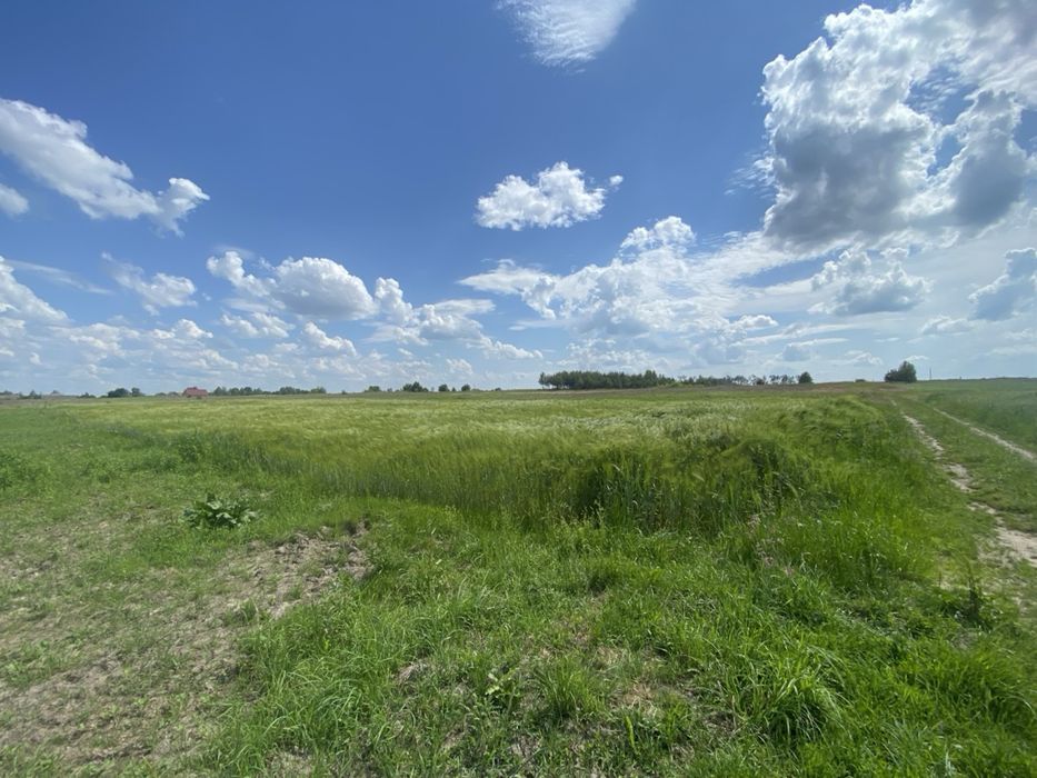 Продаж земельної ділянки