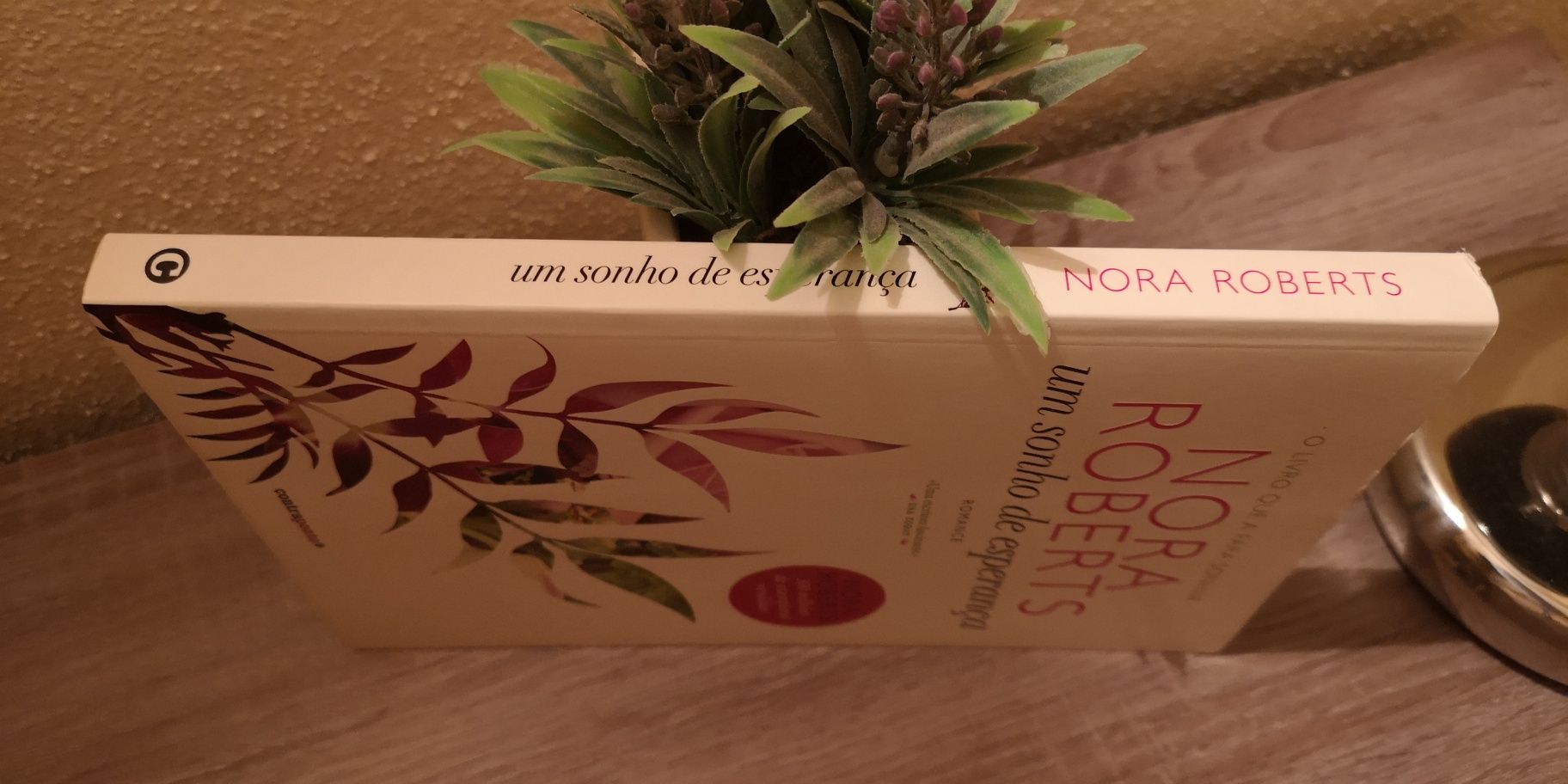 Livro Um Sonho de Esperança de Nora Roberts