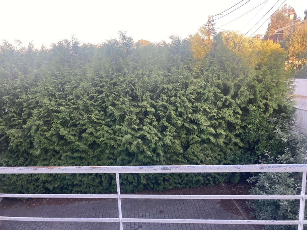 Vendo moradia unifamiliar na cidade da Lixa