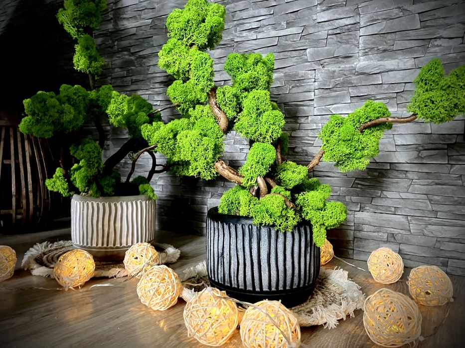 Podziękowania dla Rodziców drzewo z mchu personalizacja