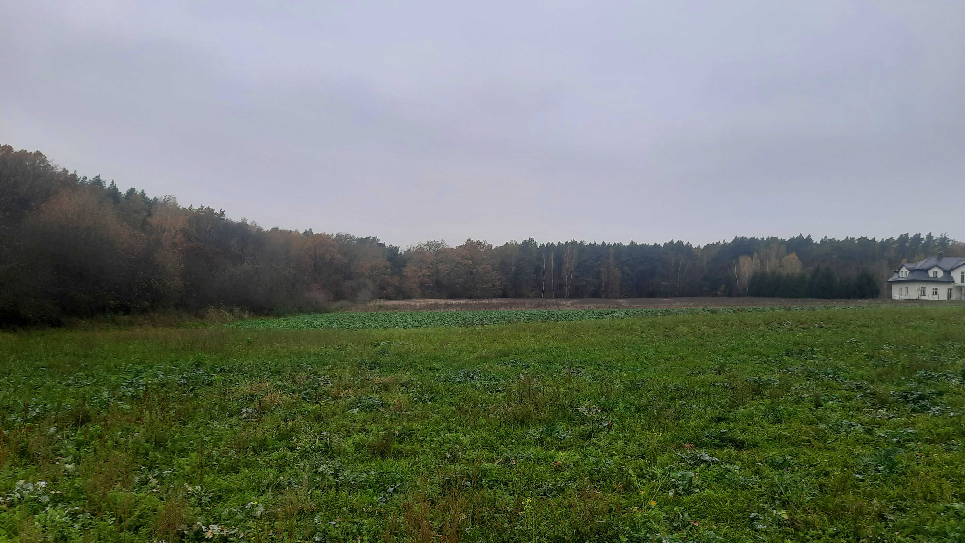 2000m2. Duża działka budowlana nad jeziorem. MPZP.