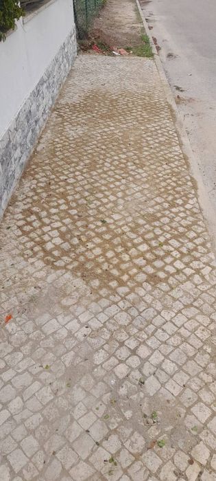 Serviços de jardinagem e calçadas