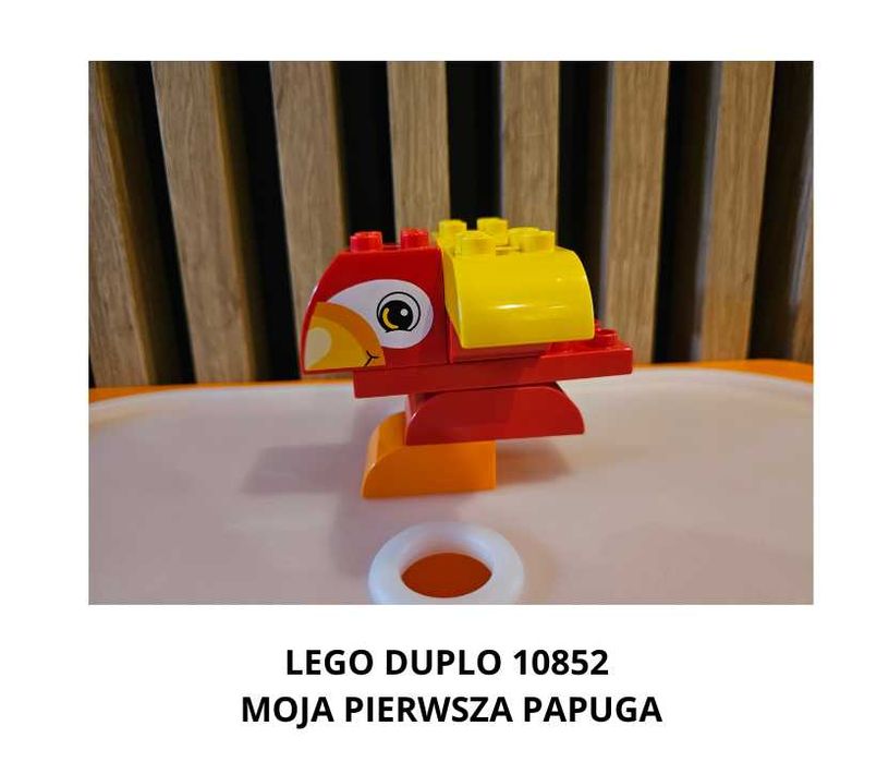 LEGO Duplo 10852 moja pierwsza papuga