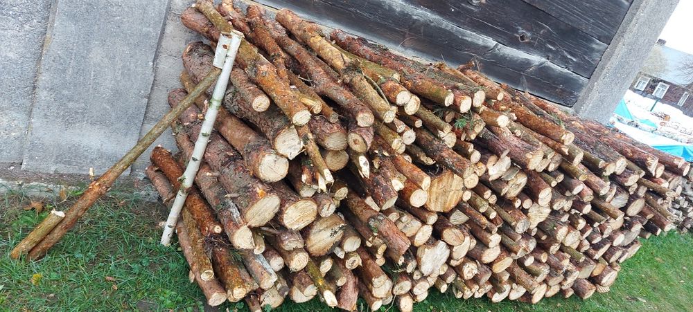 Drzewo sosnowe surowe