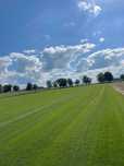 Trawa Z Rolki / PRODUCENT / Transport