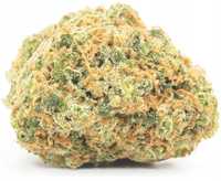 100G Susz CBD Pineapple Haze 0,20% HURT Producent FV Susz konopny