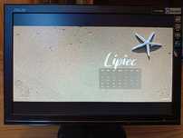 Monitor ASUS Vw 192s
