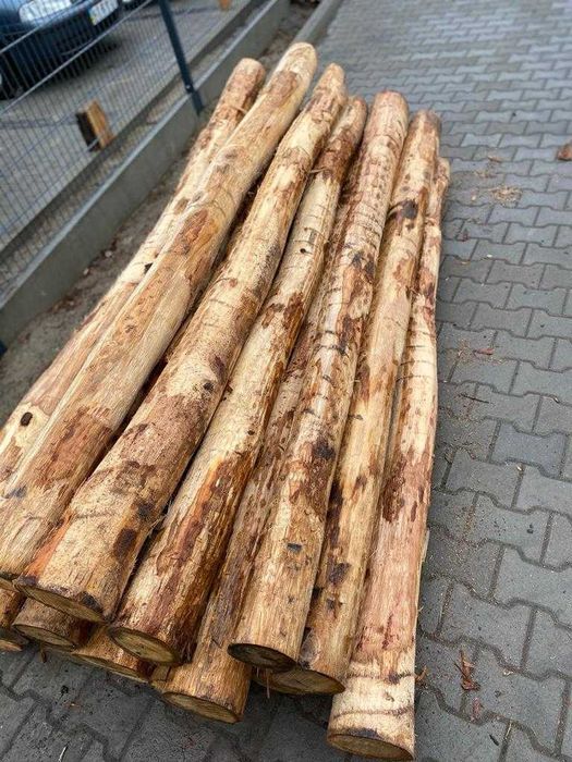 GRUBE SŁUPKI ogrodzeniowe DĘBOWE okorowane 2,5m fi10-17cm dąb PALIKI
